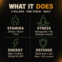 Damn Good™ Shilajit Power Stack - 90 Capsules (30 Servings)