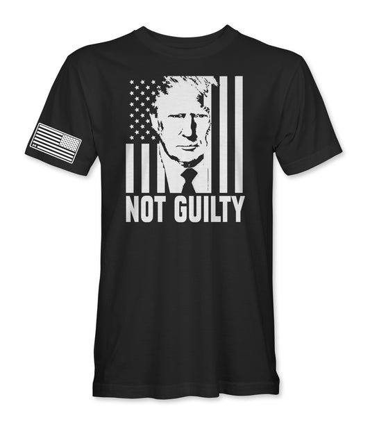 Trump Not Guilty Flag T-Shirt