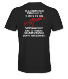 Right to Bear Arms T-Shirt