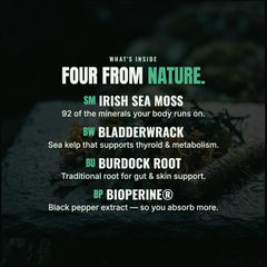 Damn Good™ Sea Moss Multimineral Complex - 60 Capsules (30 Servings)