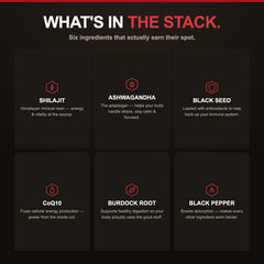 Damn Good™ Shilajit Power Stack - 90 Capsules (30 Servings)