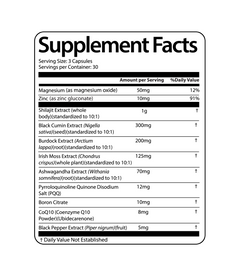 Damn Good™ Shilajit Power Stack - 90 Capsules (30 Servings)