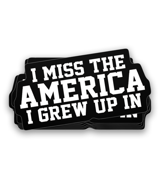 I Miss The America I Grew Up In Decal